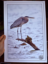 Load image into Gallery viewer, The Turtle & The Heron
