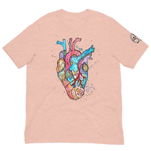 Load image into Gallery viewer, Anatomical Heart