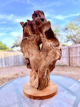 Load image into Gallery viewer, Root Sculpture
