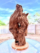 Load image into Gallery viewer, Root Sculpture

