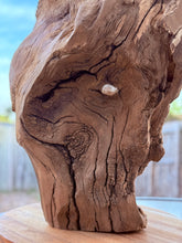Load image into Gallery viewer, Root Sculpture
